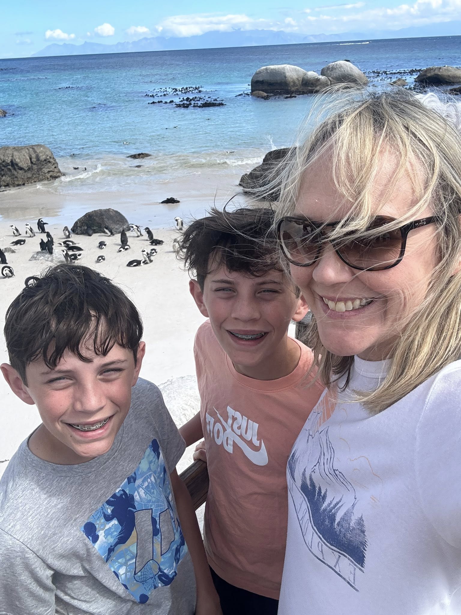 Cape penguins colony Simon's Town South Africa