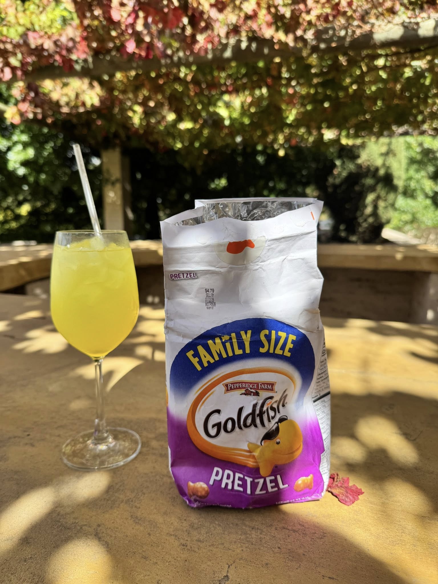 Kids fruit juice tasting Boschendal Wine Estate Franschhoek South Africa