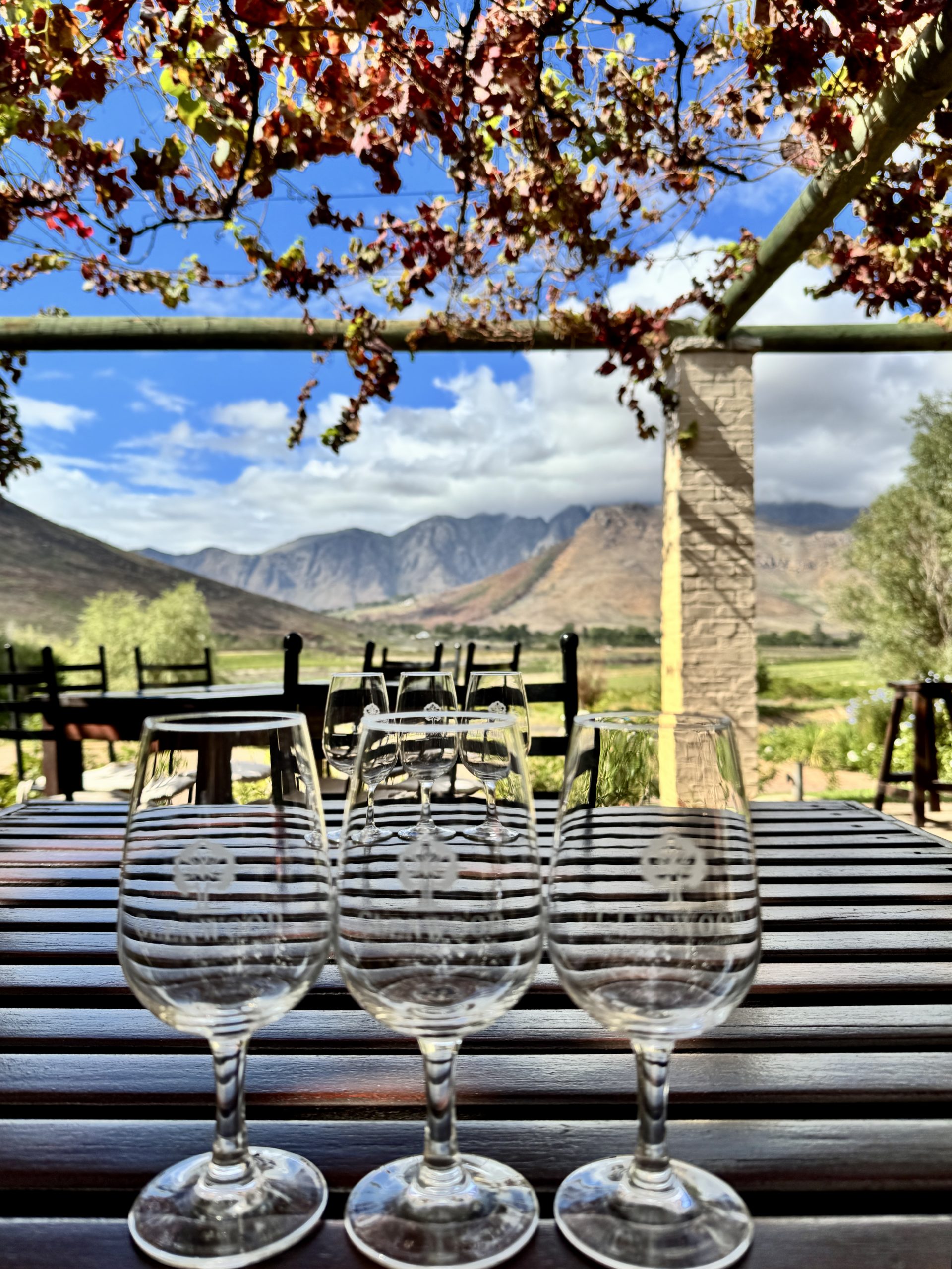 Wine tasting Franschhoek Winelands South Africa