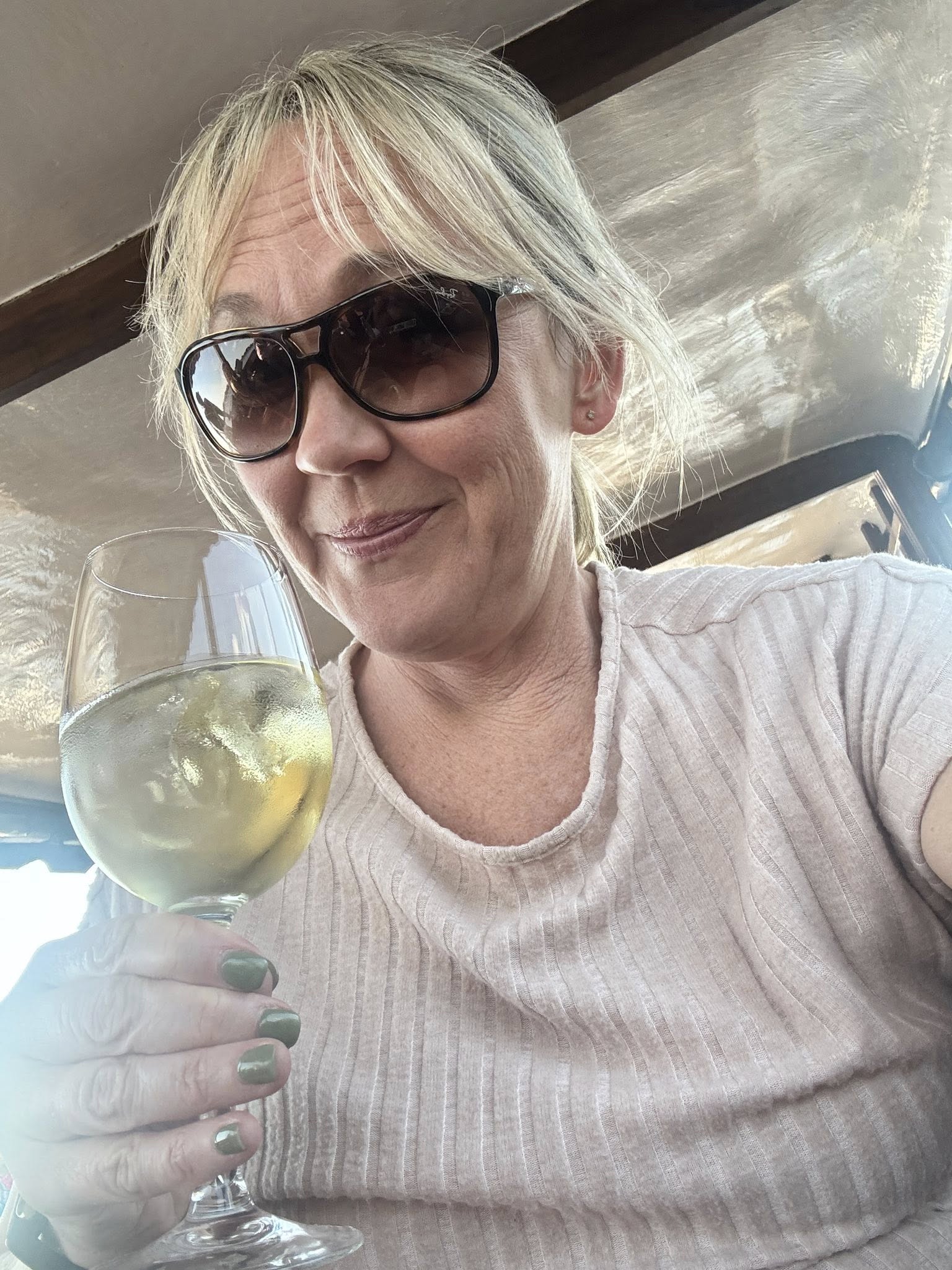 Wine on the Zambezi River cruise