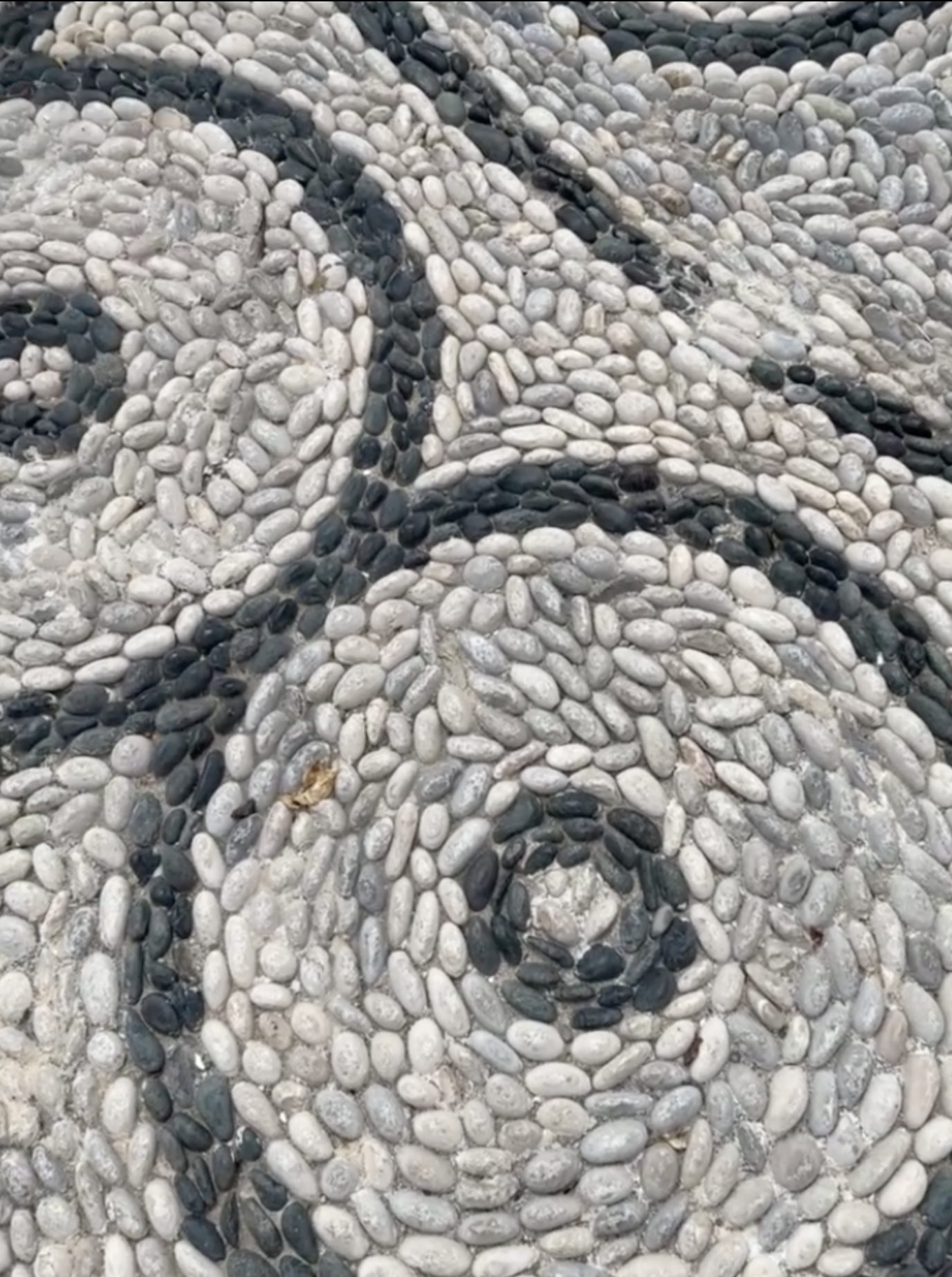 Chochlakia mosaic sidewalks in Rhodes