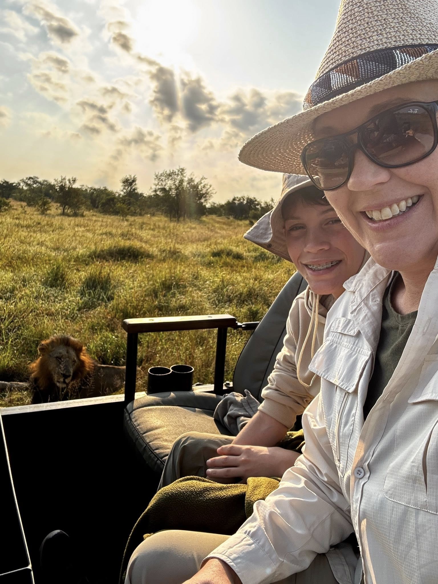 Safari vehicle beside a male lion at Tintswalo