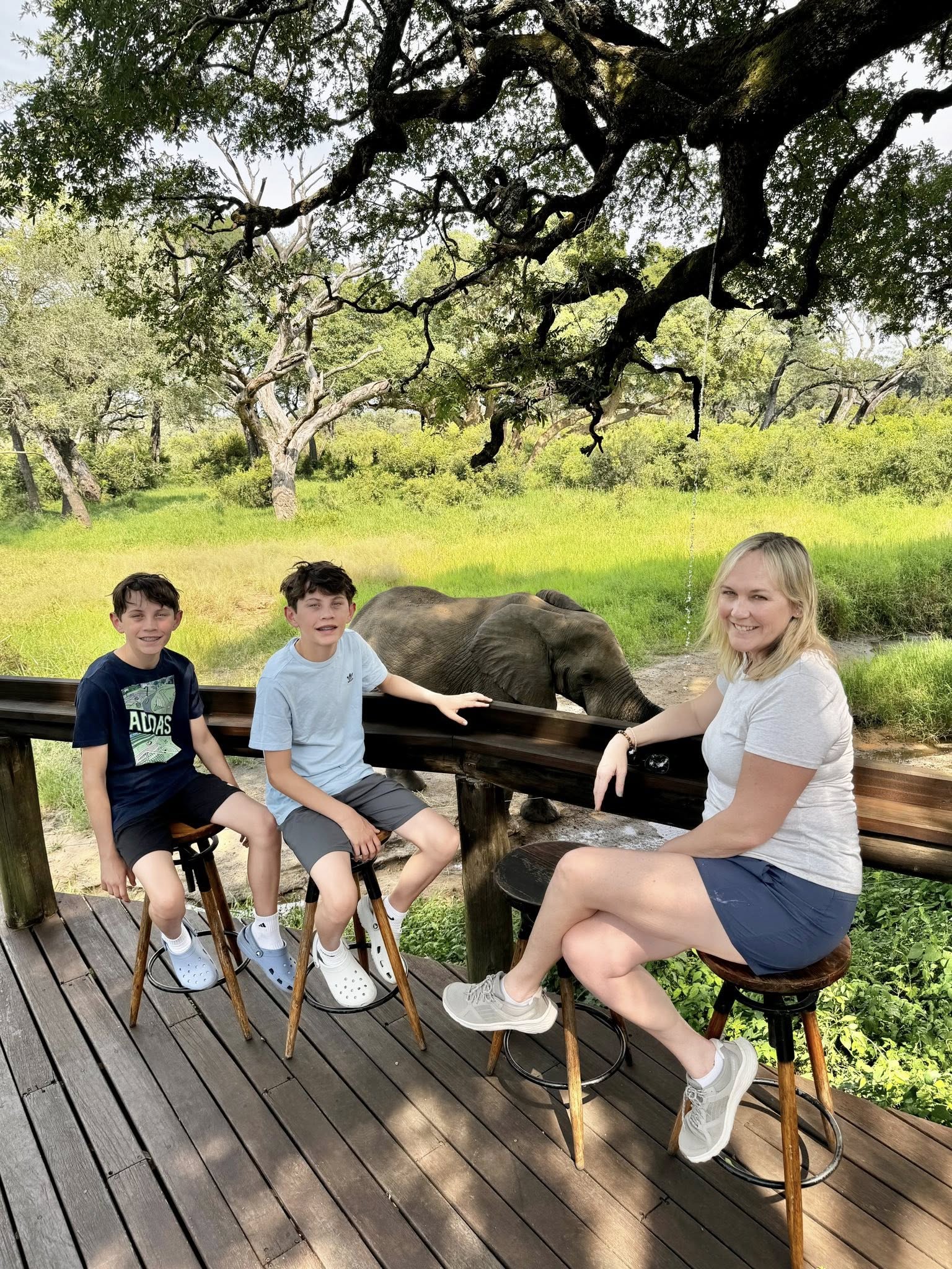 Jen and boys in front of elephant at the Tintswalo watering hole