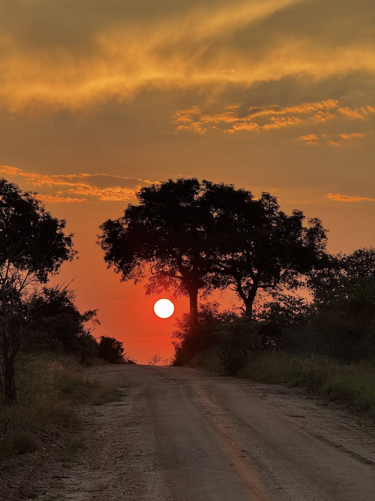 Sunset on safari at Tintswalo Manyeleti