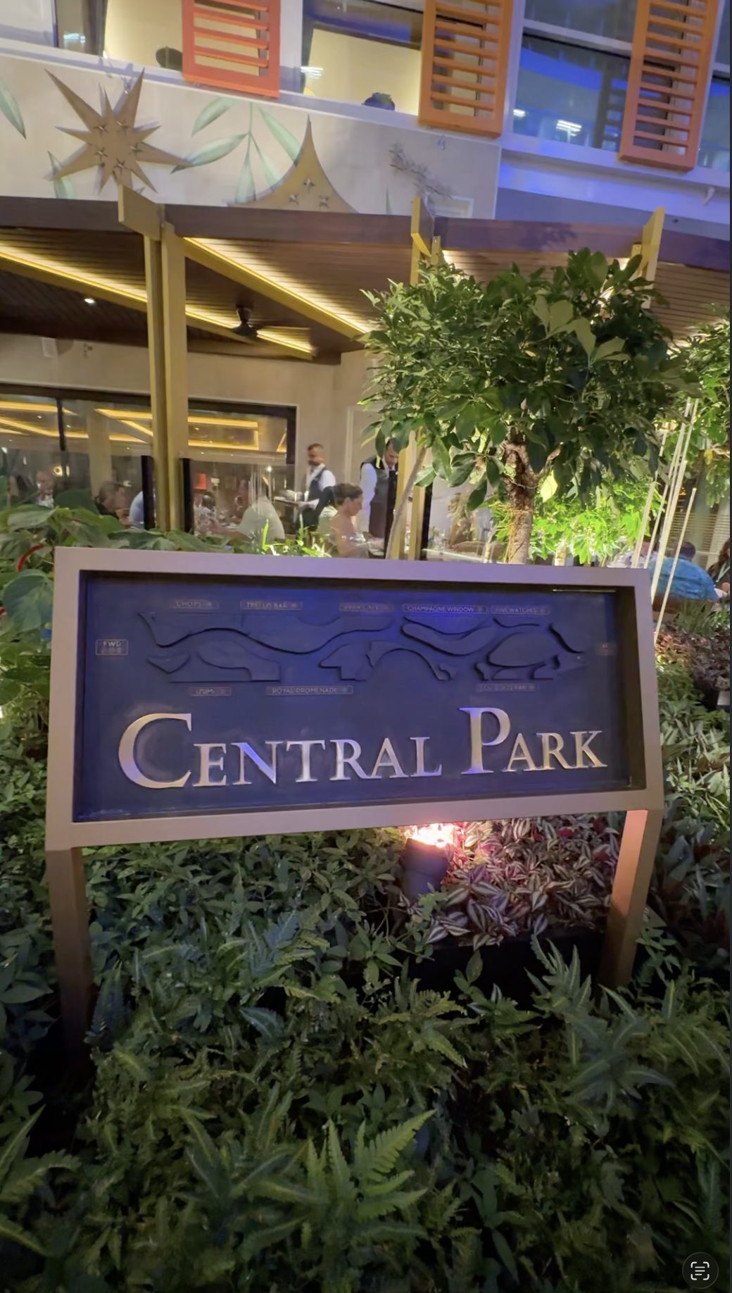 Central Park daytime