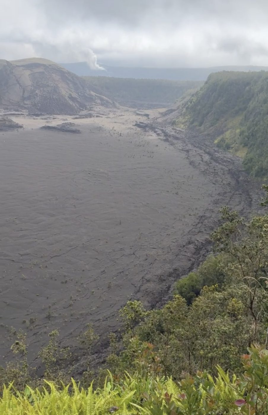 Kilauea Iki Overlook in Hawaii Volcanoes National Park