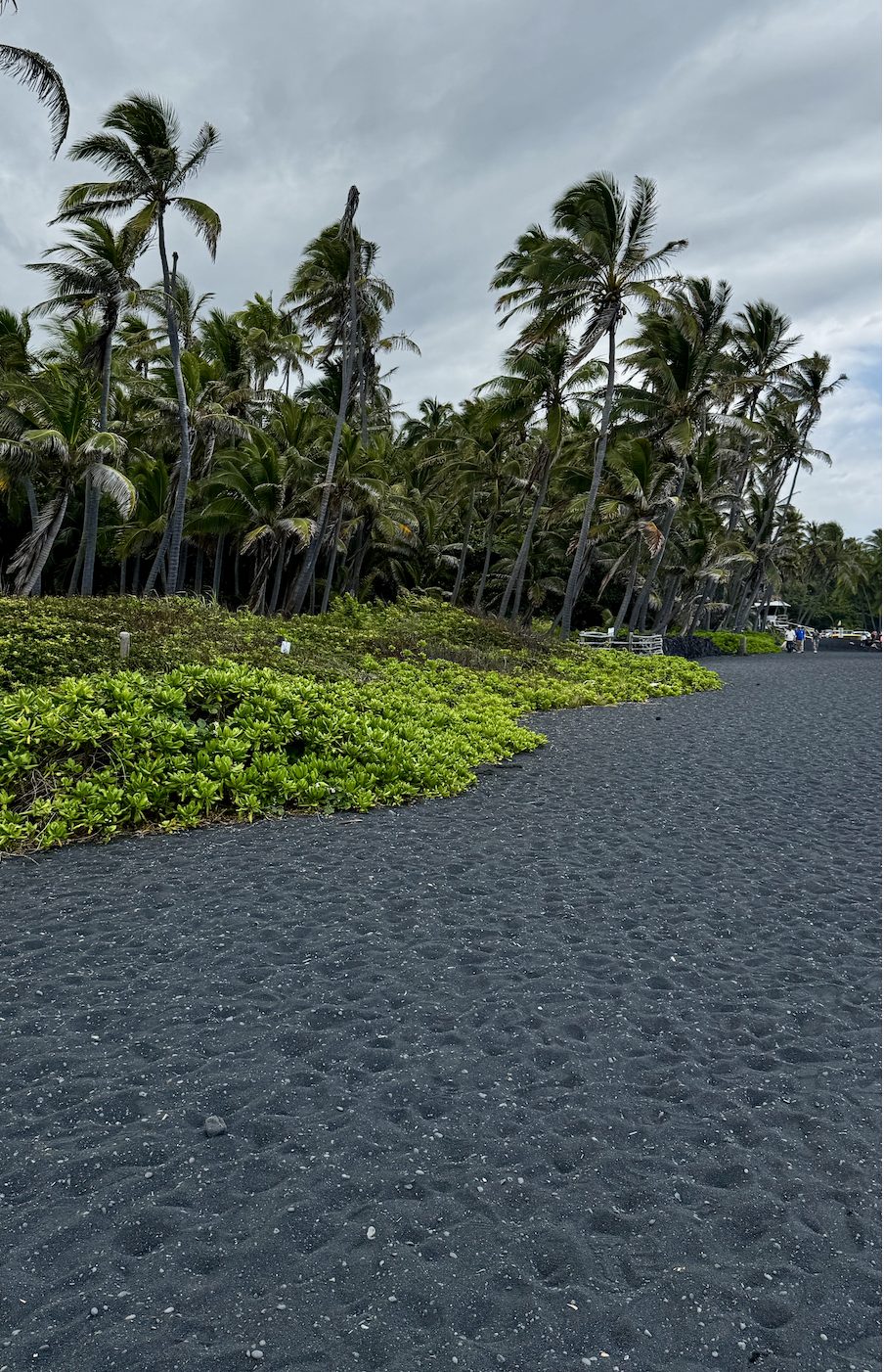 Punalu'u Black Sand Beach