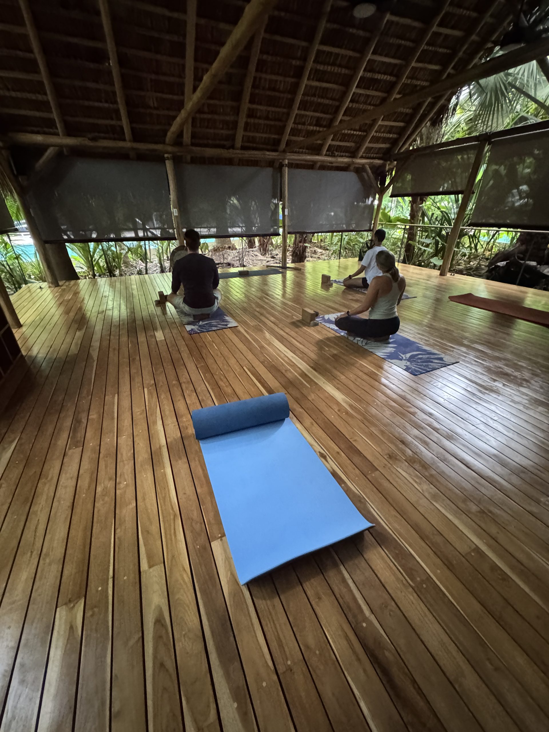 Morning yoga class