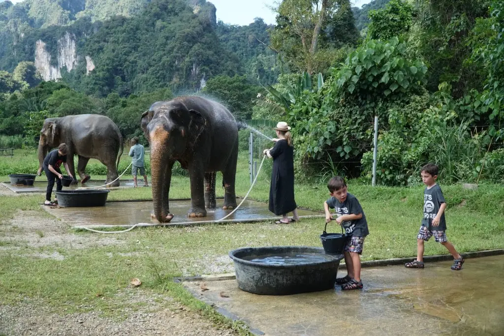 Two boys carrying water buckets while a woman in a sun hat hoses down an elephant at a sanctuary in Thailand