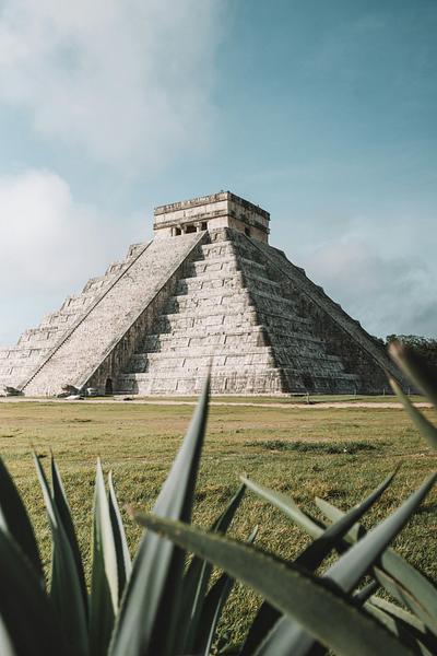 Stone pyramid at Chichén Itzá rising above a grassy field, framed by agave leaves